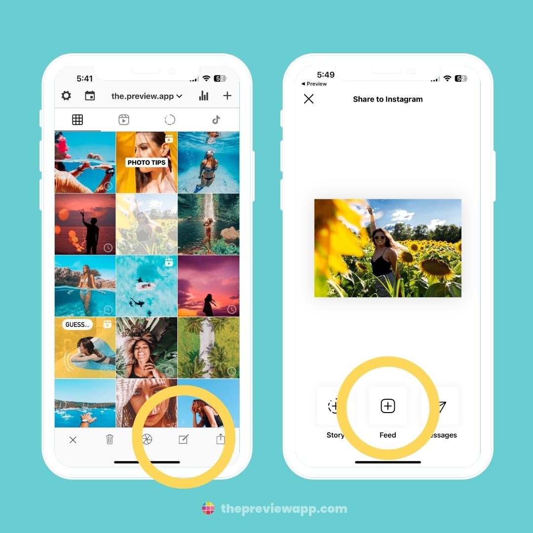 how to use preview app instagram feed