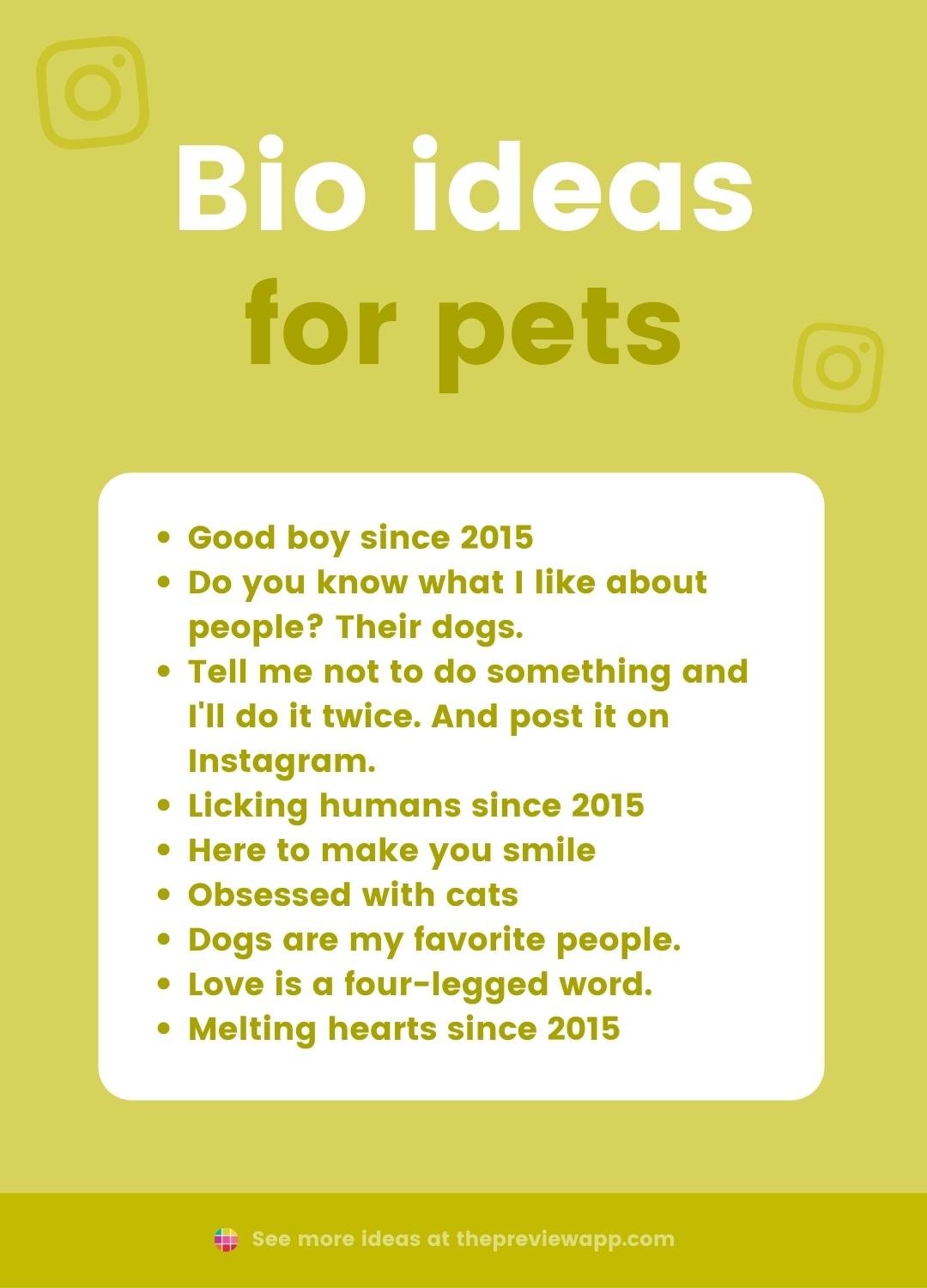 instagram bio ideas