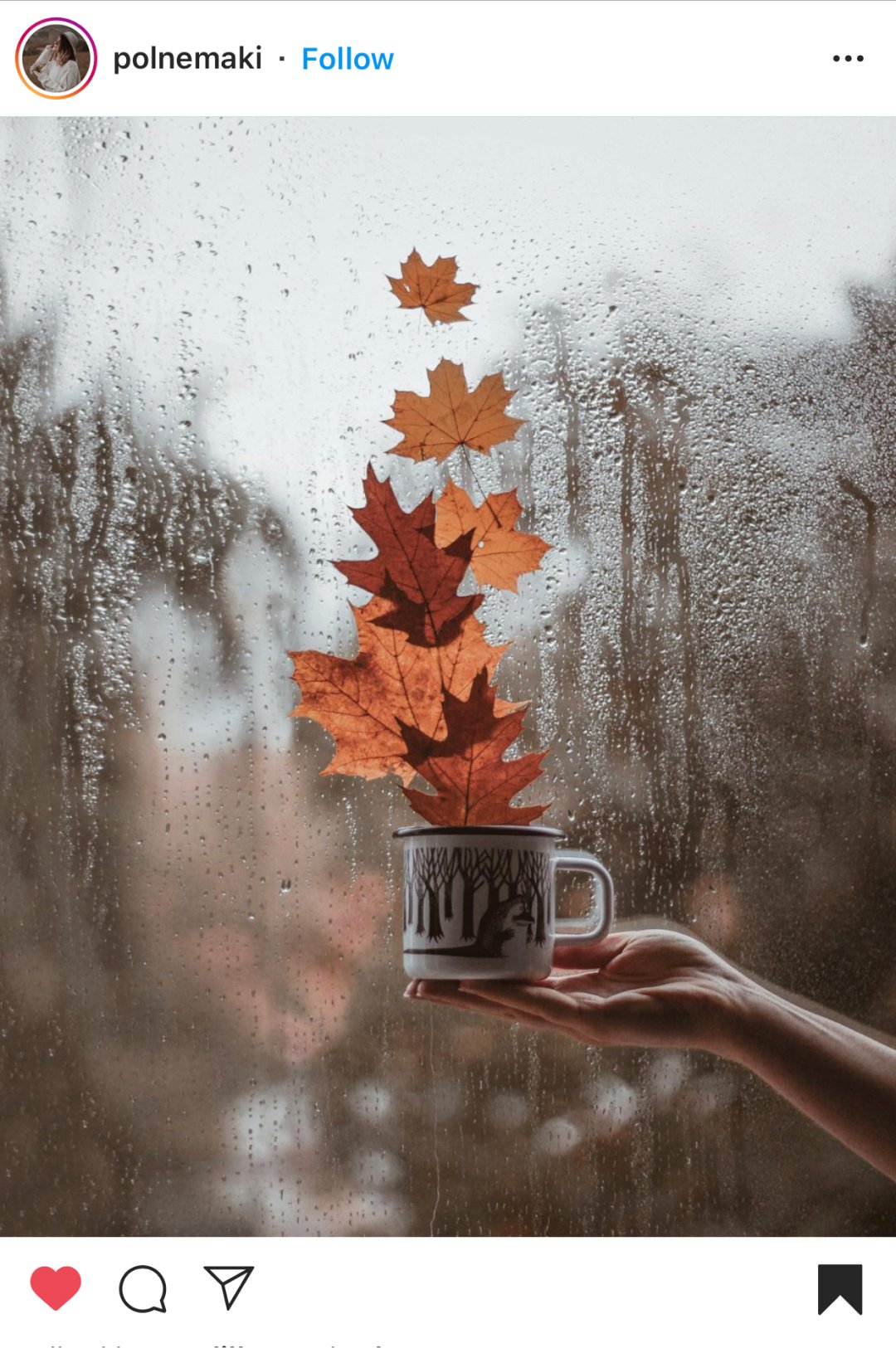 Best Instagram Fall Photo Ideas