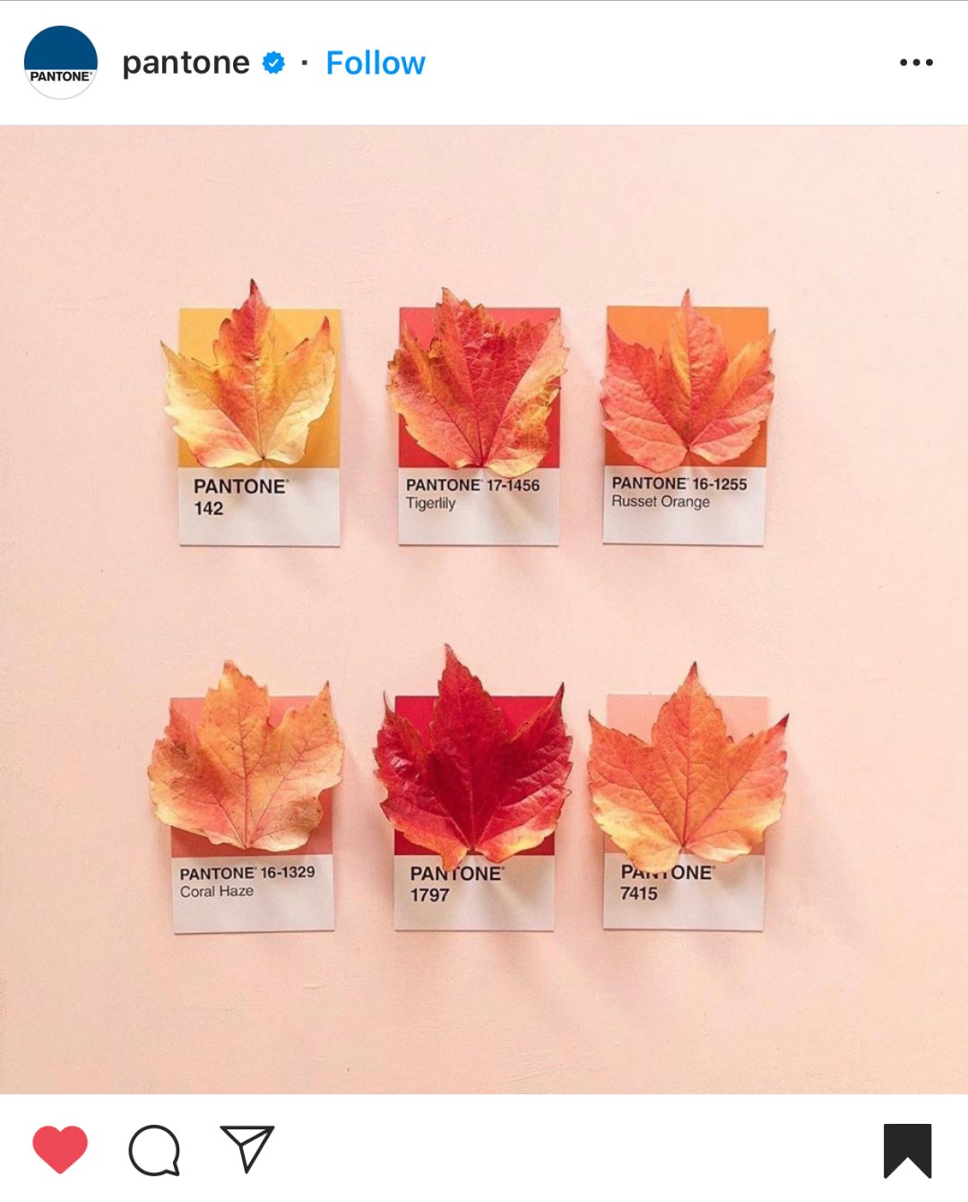 Best Instagram Fall Photo Ideas