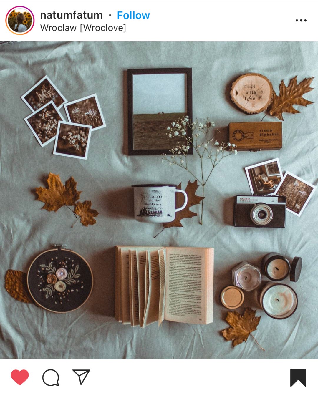 Best Instagram Fall Photo Ideas