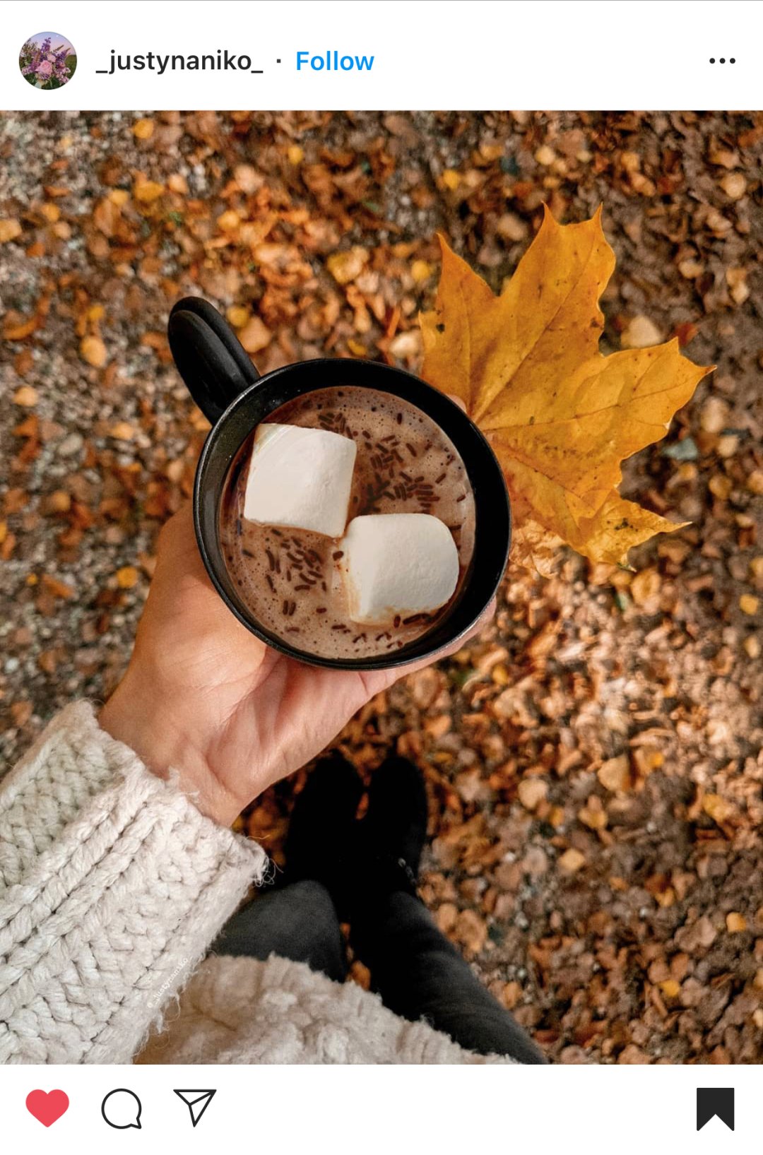 Best Instagram Fall Photo Ideas